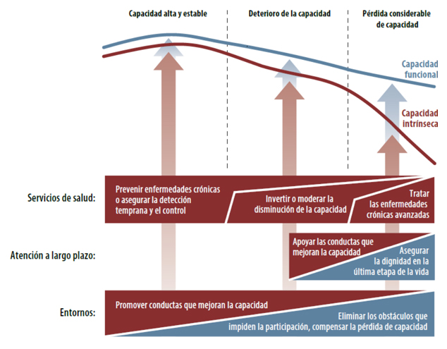 Un marco de salud pública para el envejecimiento saludable: oportunidades para la acción de salud pública en el curso de vida.