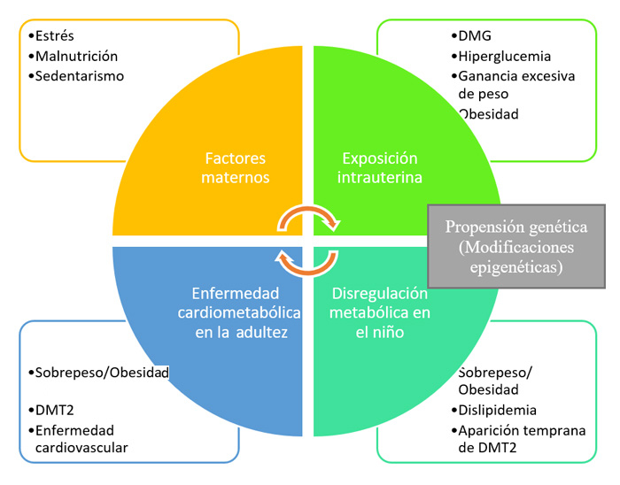 Proceso de programación sistémica.