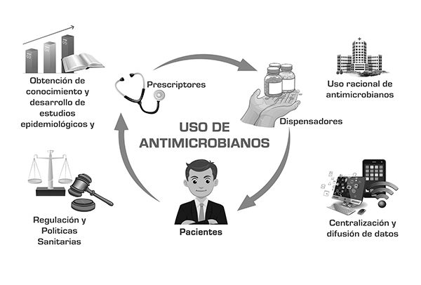 Actividades relacionadas con la vigilancia del consumo de antimicrobianos