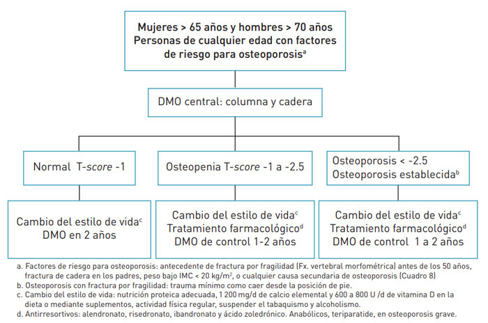 Tratamiento de la osteoporosis. 