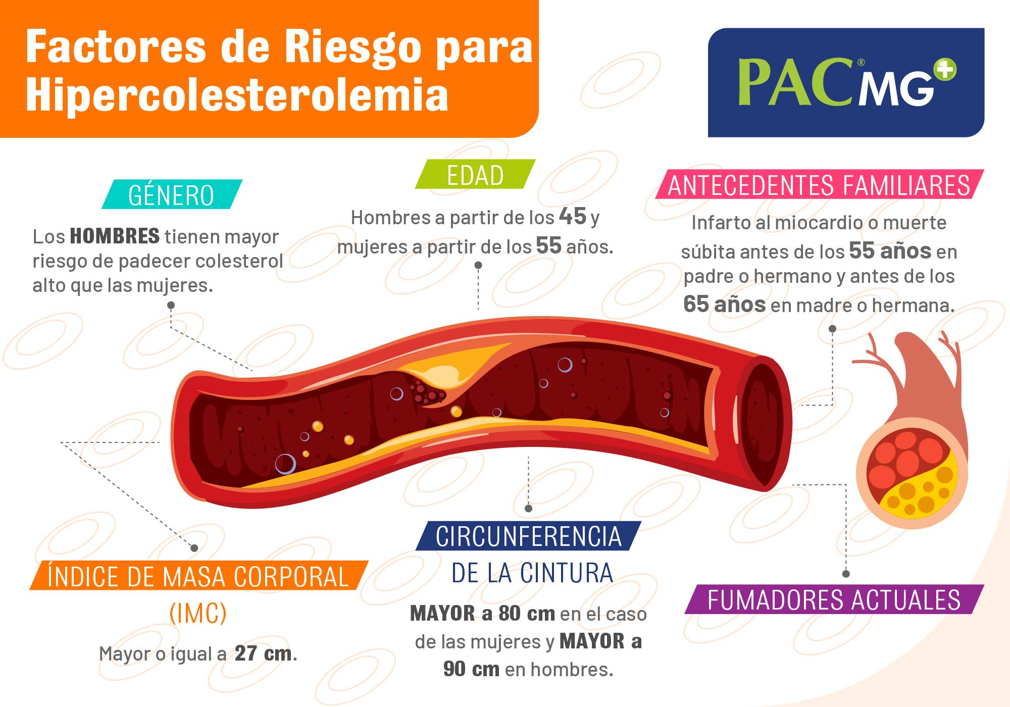 factores-riesgo-hipercolesterolemia